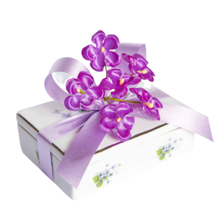 CRISAN RECTANGULAR MEDIANA PORCELANA 90 g